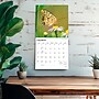 2027 BrownTrout Butterflies 12" x 12" Monthly Wall Calendar (9798330712021)~#|#~sp320816947_sc7