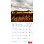 2027 BrownTrout Canadian Geographic Scenes 12" x 12" Monthly Wall Calendar (9781525617416)~#|#~sp320816956_sc7