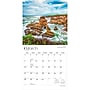 2027 BrownTrout California Coast 12" x 12" Monthly Wall Calendar (9798330710423)~#|#~sp320816965_sc7