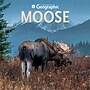 2027 BrownTrout Canadian Geographic Moose 12" x 12" Monthly Wall Calendar (9781525617560)~#|#~sp320816973_sc7