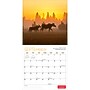 2027 BrownTrout Canadian Geographic Moose 12" x 12" Monthly Wall Calendar (9781525617560)~#|#~sp320816976_sc7