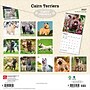 2027 BrownTrout Cairn Terriers 12" x 12" Monthly Wall Calendar (9798330712342)~#|#~sp320816984_sc7