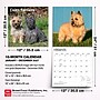 2027 BrownTrout Cairn Terriers 12" x 12" Monthly Wall Calendar (9798330712342)~#|#~sp320816989_sc7