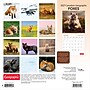 2027 BrownTrout Canadian Geographic Foxes 12" x 12" Monthly Wall Calendar (9781525617447)~#|#~sp320816994_sc7
