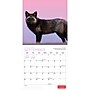 2027 BrownTrout Canadian Geographic Foxes 12" x 12" Monthly Wall Calendar (9781525617447)~#|#~sp320816996_sc7