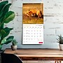 2027 BrownTrout Canadian Geographic Foxes 12" x 12" Monthly Wall Calendar (9781525617447)~#|#~sp320816997_sc7