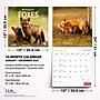 2027 BrownTrout Canadian Geographic Foxes 12" x 12" Monthly Wall Calendar (9781525617447)~#|#~sp320816999_sc7
