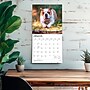 2027 BrownTrout Bulldogs 12" x 12" Monthly Wall Calendar (9798330712335)~#|#~sp320817010_sc7