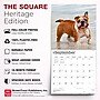 2027 BrownTrout Bulldogs 12" x 12" Monthly Wall Calendar (9798330712335)~#|#~sp320817011_sc7