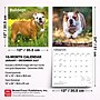 2027 BrownTrout Bulldogs 12" x 12" Monthly Wall Calendar (9798330712335)~#|#~sp320817012_sc7