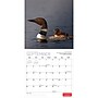 2027 BrownTrout Canadian Geographic The Loon 12" x 12" Monthly Wall Calendar (9781525617805)~#|#~sp320817051_sc7