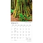 2027 BrownTrout California National Parks 12" x 12" Monthly Wall Calendar (9798330710430)~#|#~sp320817080_sc7