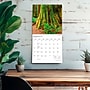 2027 BrownTrout California National Parks 12" x 12" Monthly Wall Calendar (9798330710430)~#|#~sp320817082_sc7