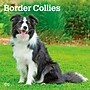 2027 BrownTrout Border Collies 12" x 12" Monthly Wall Calendar (9798330712274)~#|#~sp320817088_sc7