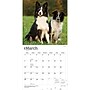 2027 BrownTrout Border Collies 12" x 12" Monthly Wall Calendar (9798330712274)~#|#~sp320817090_sc7