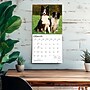 2027 BrownTrout Border Collies 12" x 12" Monthly Wall Calendar (9798330712274)~#|#~sp320817092_sc7