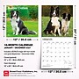 2027 BrownTrout Border Collies 12" x 12" Monthly Wall Calendar (9798330712274)~#|#~sp320817094_sc7