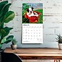 2027 BrownTrout Boston Terrier Puppies 12" x 12" Monthly Wall Calendar (9798330712281)~#|#~sp320817102_sc7