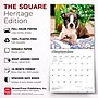 2027 BrownTrout Boston Terrier Puppies 12" x 12" Monthly Wall Calendar (9798330712281)~#|#~sp320817103_sc7
