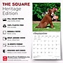 2027 BrownTrout Border Collie Puppies 12" x 12" Monthly Wall Calendar (9798330712267)~#|#~sp320817123_sc7