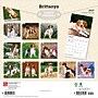 2027 BrownTrout Brittanys 12" x 12" Monthly Wall Calendar (9798330712311)~#|#~sp320817140_sc7