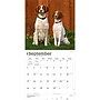 2027 BrownTrout Brittanys 12" x 12" Monthly Wall Calendar (9798330712311)~#|#~sp320817142_sc7