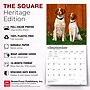 2027 BrownTrout Brittanys 12" x 12" Monthly Wall Calendar (9798330712311)~#|#~sp320817144_sc7