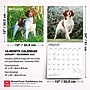 2027 BrownTrout Brittanys 12" x 12" Monthly Wall Calendar (9798330712311)~#|#~sp320817145_sc7