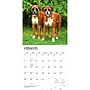 2027 BrownTrout Boxers International Edition 12" x 12" Monthly Wall Calendar (9798330712304)~#|#~sp320817151_sc7