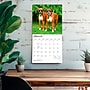 2027 BrownTrout Boxers International Edition 12" x 12" Monthly Wall Calendar (9798330712304)~#|#~sp320817153_sc7