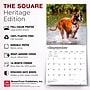 2027 BrownTrout Boxers International Edition 12" x 12" Monthly Wall Calendar (9798330712304)~#|#~sp320817154_sc7