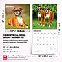 2027 BrownTrout Boxers International Edition 12" x 12" Monthly Wall Calendar (9798330712304)~#|#~sp320817155_sc7