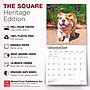 2027 BrownTrout Bulldog Puppies 12" x 12" Monthly Wall Calendar (9798330712328)~#|#~sp320817164_sc7
