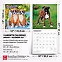 2027 BrownTrout Boxer Puppies 12" x 12" Monthly Wall Calendar (9798330714117)~#|#~sp320817195_sc7