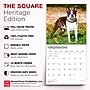 2027 BrownTrout Boston Terriers 12" x 12" Monthly Wall Calendar (9798330712298)~#|#~sp320817204_sc7