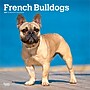 2027 BrownTrout French Bulldogs 12" x 12" Monthly Wall Calendar (9798330712434)~#|#~sp320817233_sc7