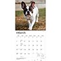 2027 BrownTrout French Bulldogs 12" x 12" Monthly Wall Calendar (9798330712434)~#|#~sp320817235_sc7