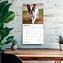 2027 BrownTrout French Bulldogs 12" x 12" Monthly Wall Calendar (9798330712434)~#|#~sp320817237_sc7