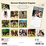 2027 BrownTrout German Shepherd Puppies 12" x 12" Monthly Wall Calendar (9798330714193)~#|#~sp320817264_sc7