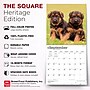 2027 BrownTrout German Shepherd Puppies 12" x 12" Monthly Wall Calendar (9798330714193)~#|#~sp320817268_sc7