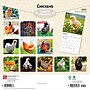 2027 BrownTrout Chickens 12" x 12" Monthly Wall Calendar (9798330711871)~#|#~sp320817352_sc7