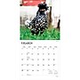 2027 BrownTrout Chickens 12" x 12" Monthly Wall Calendar (9798330711871)~#|#~sp320817353_sc7