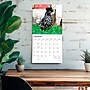 2027 BrownTrout Chickens 12" x 12" Monthly Wall Calendar (9798330711871)~#|#~sp320817355_sc7