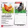 2027 BrownTrout Chickens 12" x 12" Monthly Wall Calendar (9798330711871)~#|#~sp320817357_sc7