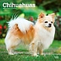 2027 BrownTrout Chihuahuas 12" x 12" Monthly Wall Calendar (9798330712366)~#|#~sp320817381_sc7