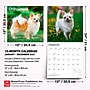 2027 BrownTrout Chihuahuas 12" x 12" Monthly Wall Calendar (9798330712366)~#|#~sp320817387_sc7