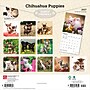2027 BrownTrout Chihuahua Puppies 12" x 12" Monthly Wall Calendar (9798330712359)~#|#~sp320817412_sc7