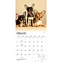 2027 BrownTrout Chihuahua Puppies 12" x 12" Monthly Wall Calendar (9798330712359)~#|#~sp320817413_sc7