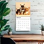 2027 BrownTrout Chihuahua Puppies 12" x 12" Monthly Wall Calendar (9798330712359)~#|#~sp320817415_sc7