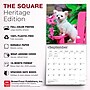 2027 BrownTrout Chihuahua Puppies 12" x 12" Monthly Wall Calendar (9798330712359)~#|#~sp320817416_sc7
